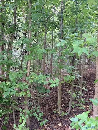 0.63 Acres of Residential Land for Sale in Scottsboro, Alabama