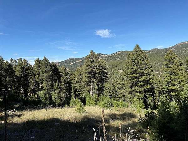 39.5 Acres of Recreational Land for Sale in Helmville, Montana