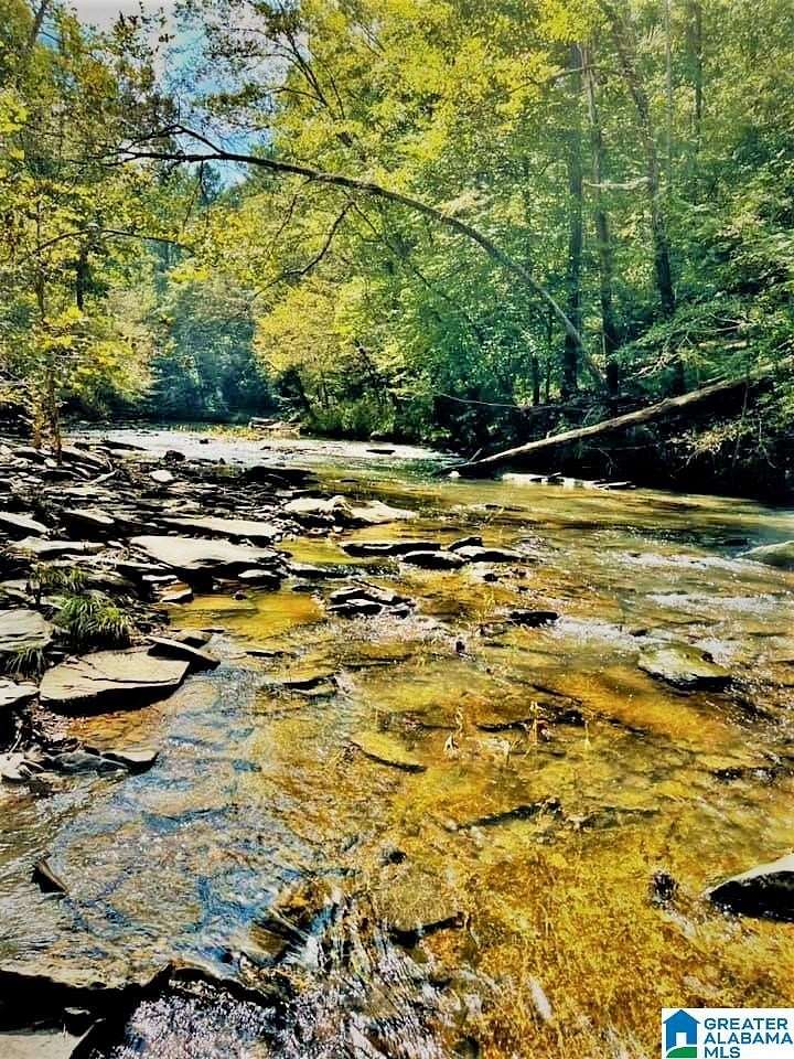 11 Acres of Recreational & Residential Land for Sale in Warrior, Alabama