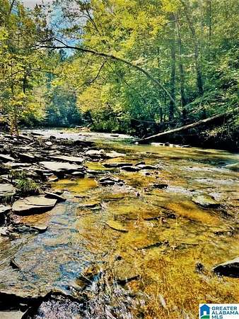 11 Acres of Recreational & Residential Land for Sale in Warrior, Alabama