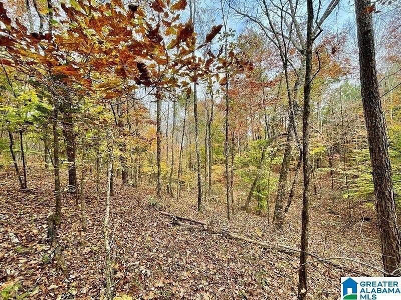 13 Acres of Land for Sale in Warrior, Alabama