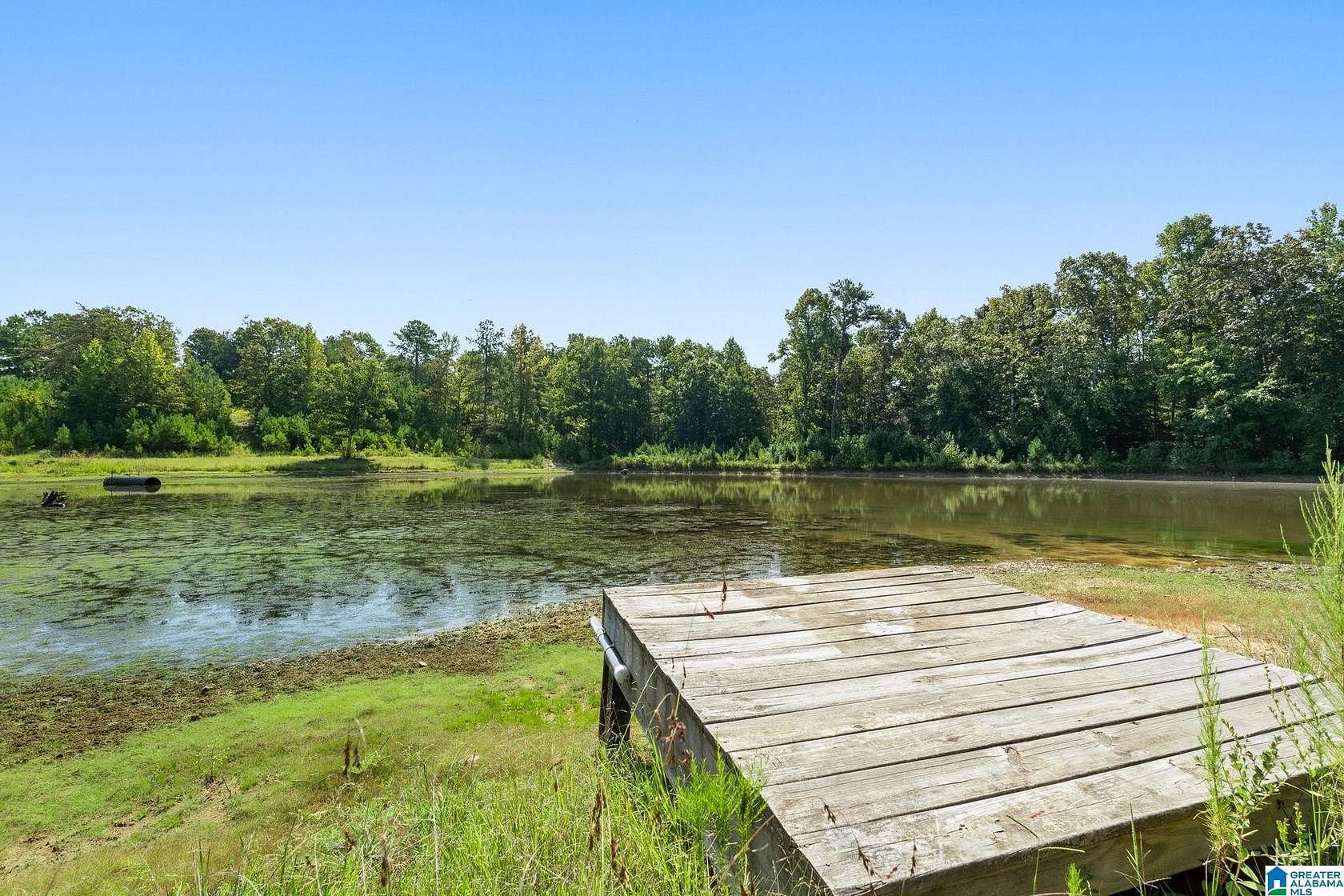 141 Acres of Land for Sale in Odenville, Alabama
