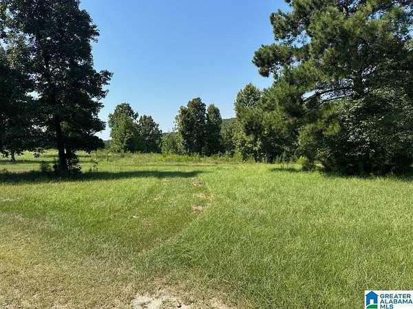 141 Acres of Land for Sale in Odenville, Alabama