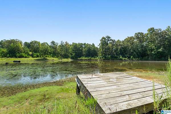 141 Acres of Land for Sale in Odenville, Alabama