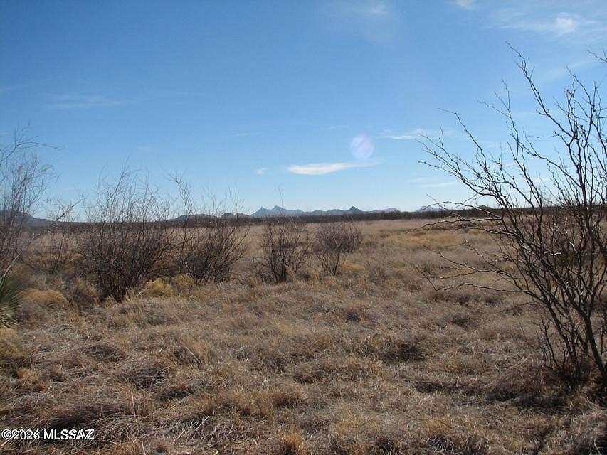 40.4 Acres of Agricultural & Residential Land for Sale in McNeal, Arizona