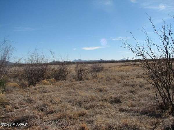 40.4 Acres of Agricultural & Residential Land for Sale in McNeal, Arizona