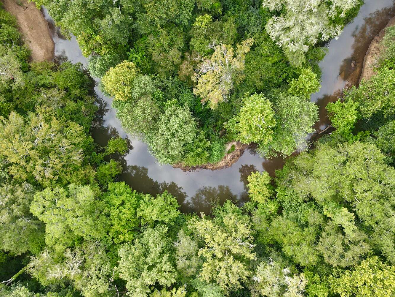 98 Acres of Recreational Land for Sale in Jackson, Alabama