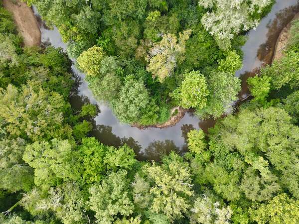 98 Acres of Recreational Land for Sale in Jackson, Alabama