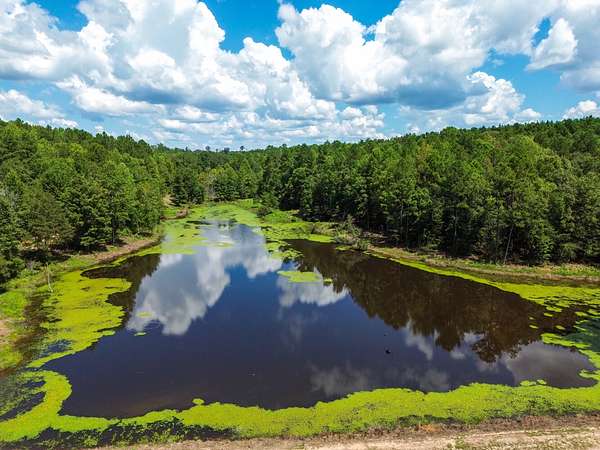 73 Acres of Recreational Land for Sale in Marion, Alabama