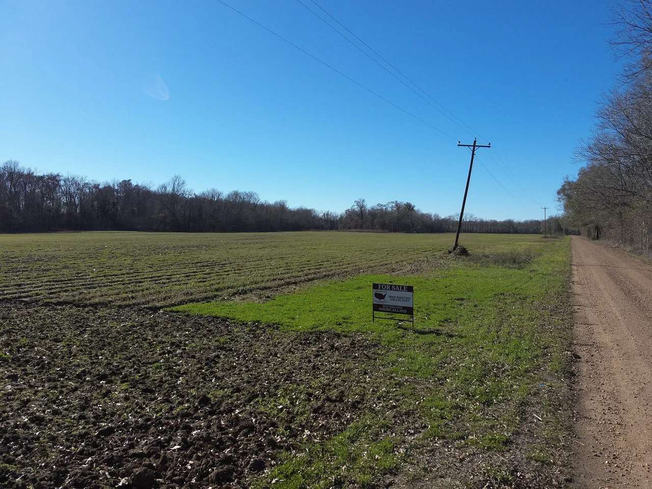 80 Acres of Land for Sale in Jonesville, Louisiana