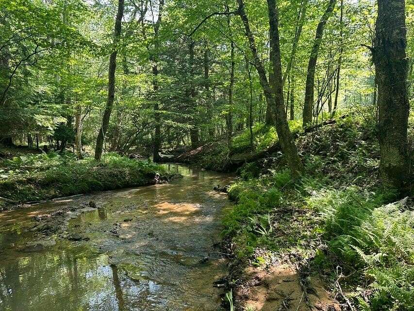 21 Acres of Recreational & Residential Land for Sale in Sigel, Pennsylvania