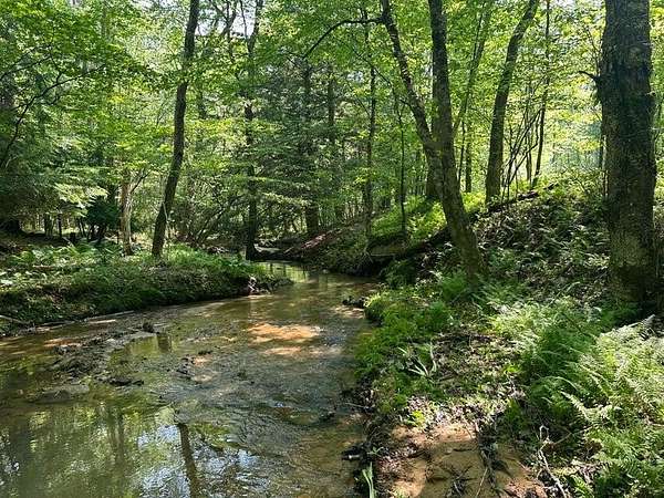 21 Acres of Recreational & Residential Land for Sale in Sigel, Pennsylvania