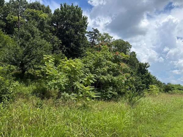 7 Acres of Land for Sale in Franklin, Tennessee