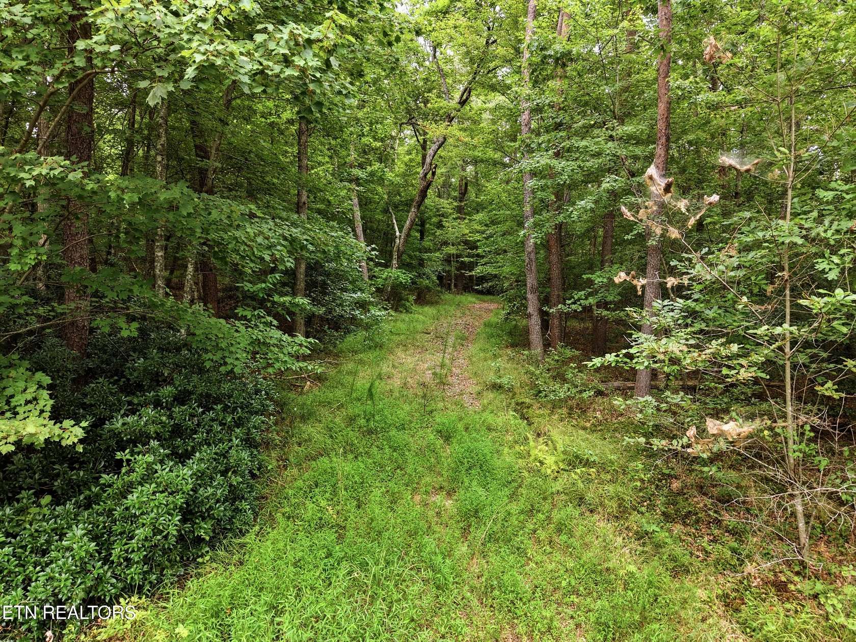 3.9 Acres of Residential Land for Sale in Crossville, Tennessee