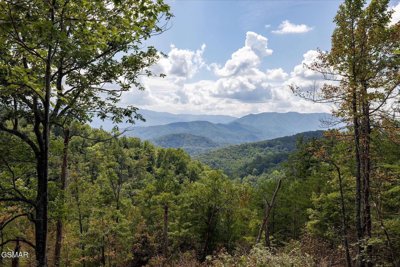 55.8 Acres of Recreational & Residential Land for Sale in Townsend, Tennessee