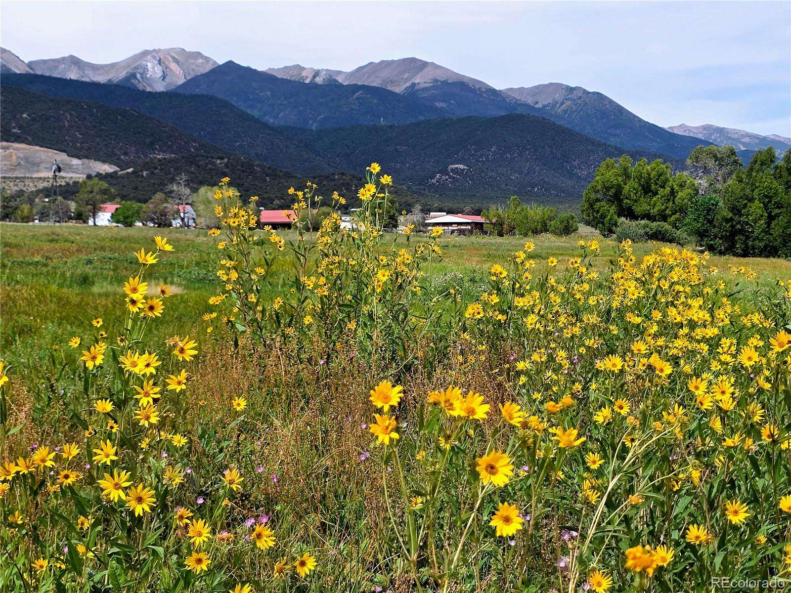 8.74 Acres of Residential Land for Sale in Coaldale, Colorado