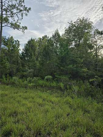 1 Acre of Residential Land for Sale in Williston, Florida