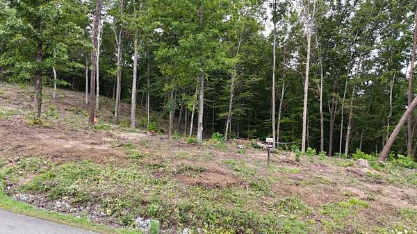 1.25 Acres of Residential Land for Sale in Bean Station, Tennessee