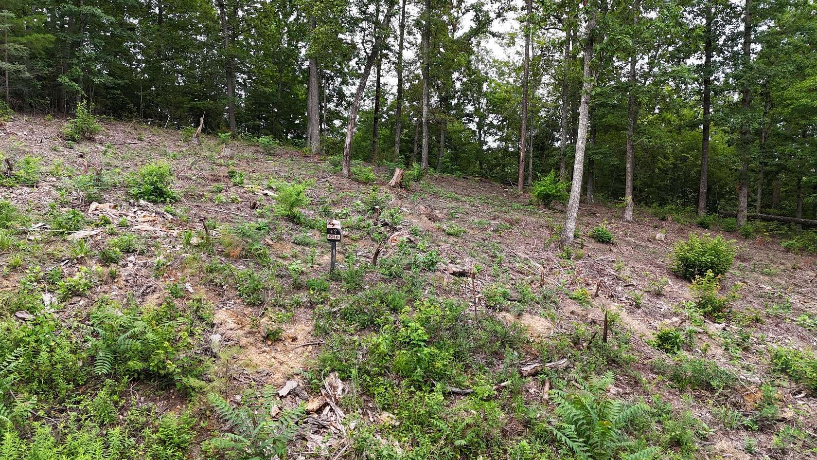 2.9 Acres of Residential Land for Sale in Bean Station, Tennessee