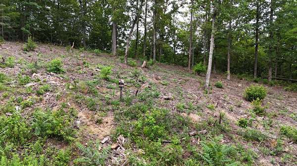 2.9 Acres of Residential Land for Sale in Bean Station, Tennessee