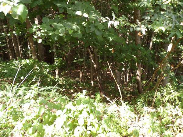 6.8 Acres of Residential Land for Sale in Spencer, Tennessee