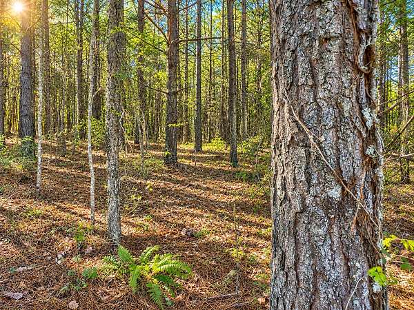 6.8 Acres of Residential Land for Sale in Spencer, Tennessee