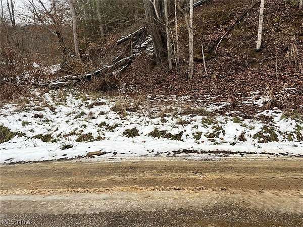 9.52 Acres of Land for Sale in Clendenin, West Virginia