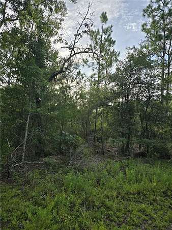 1 Acre of Residential Land for Sale in Williston, Florida