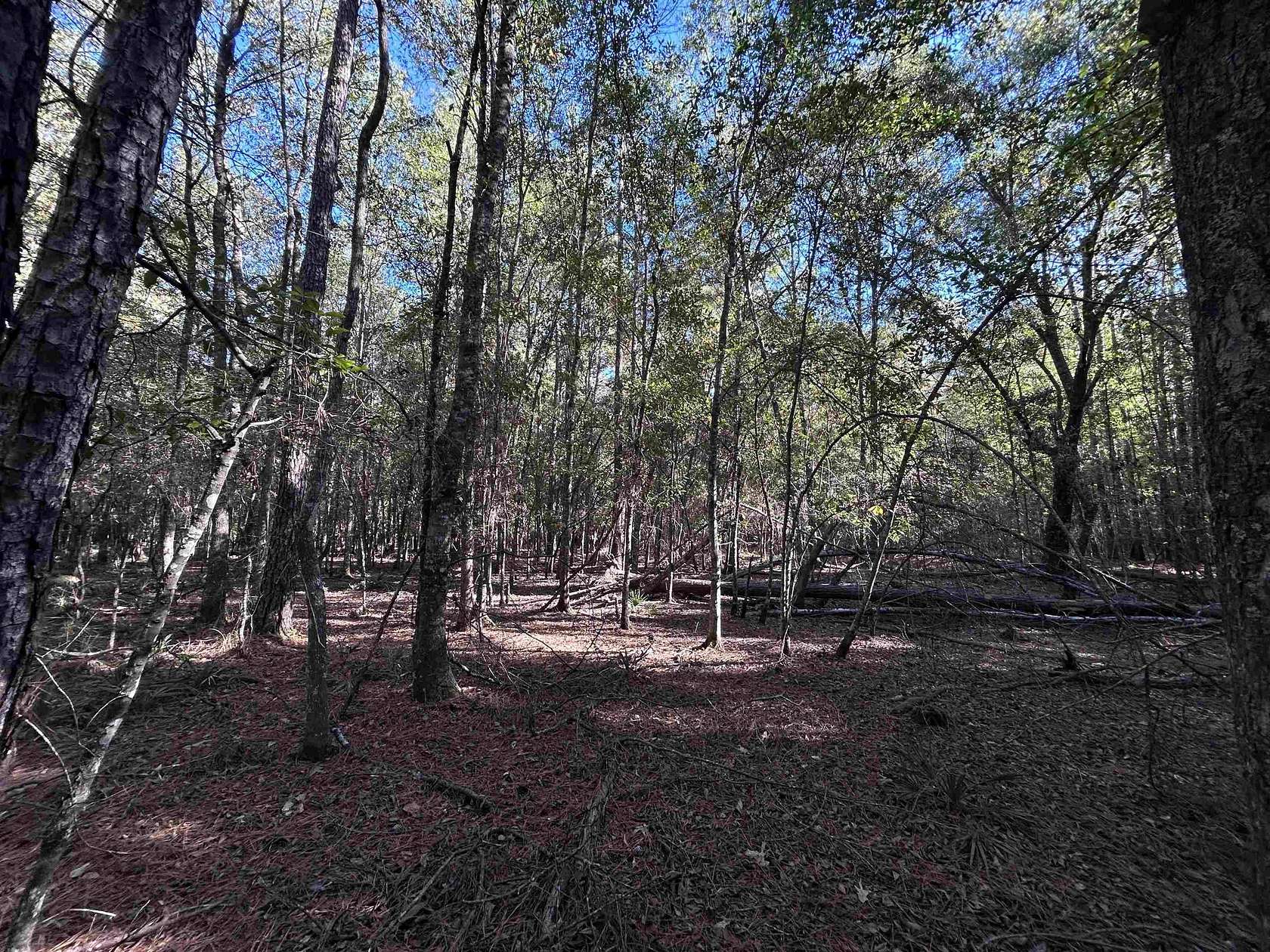 0.25 Acres of Residential Land for Sale in Village Mills, Texas