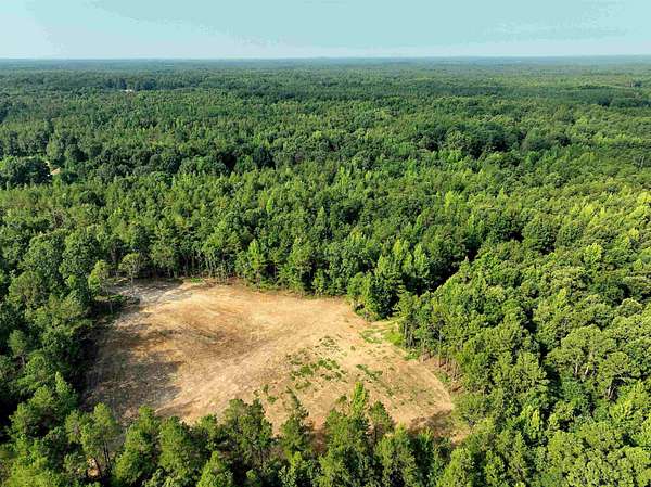80.2 Acres of Recreational & Residential Land for Sale in Michigan City, Mississippi