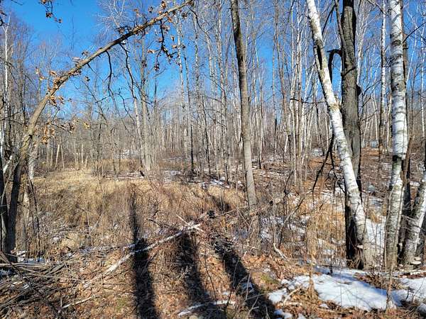1.45 Acres of Land for Sale in Motley, Minnesota