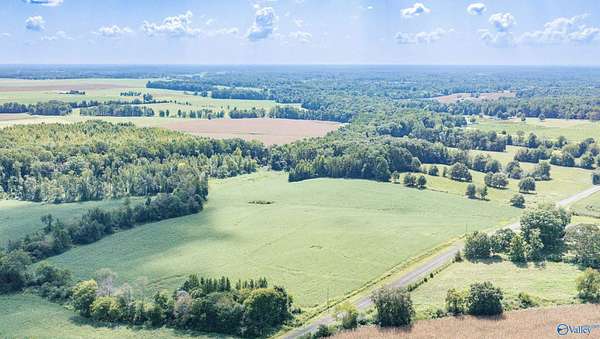 20.2 Acres of Agricultural & Residential Land for Sale in Anderson, Alabama