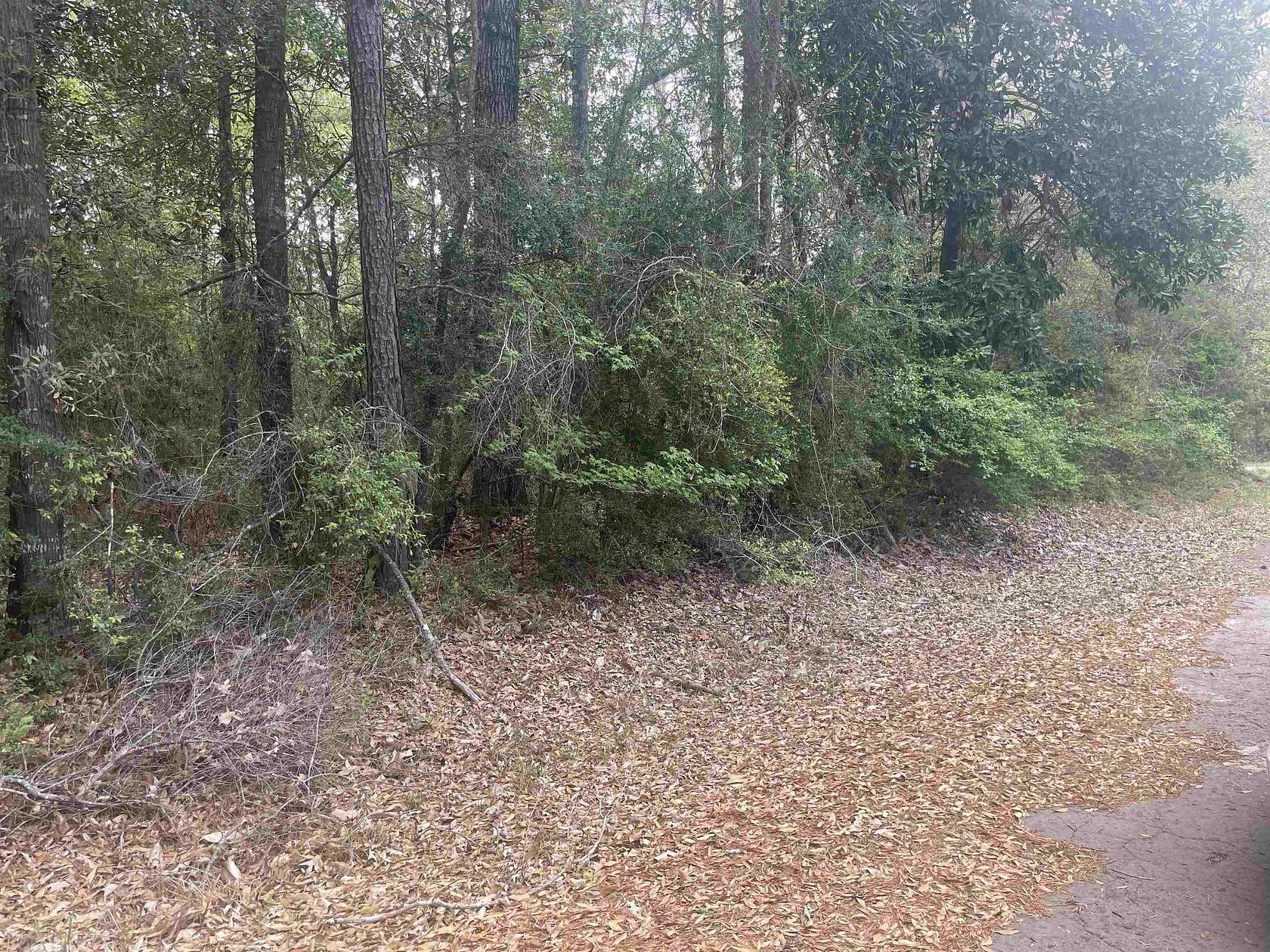 0.29 Acres of Residential Land for Sale in Village Mills, Texas