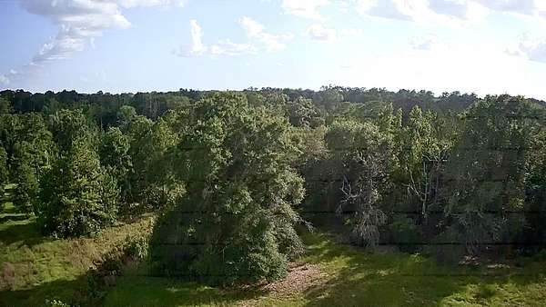 15.4 Acres of Land for Sale in Hillister, Texas