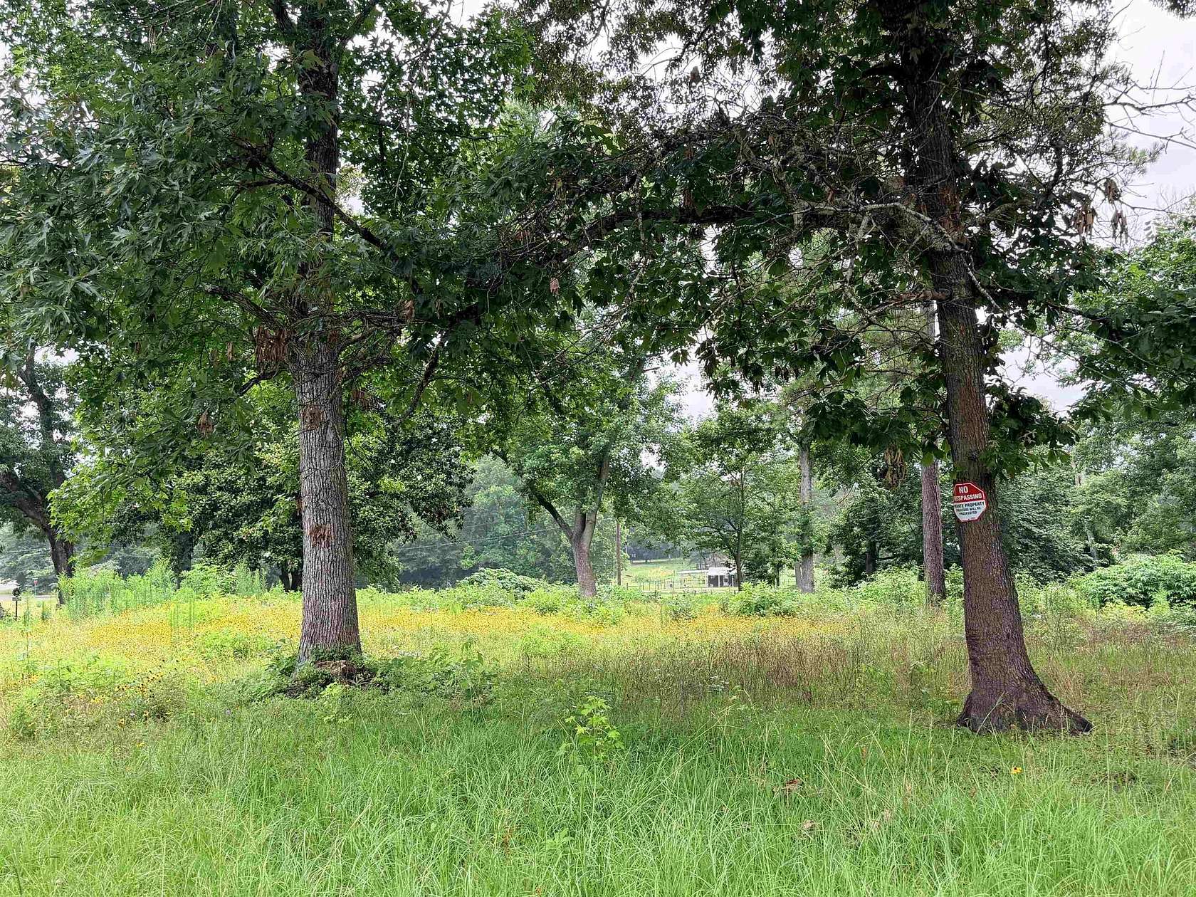 10 Acres of Mixed-Use Land for Sale in Woodville, Texas
