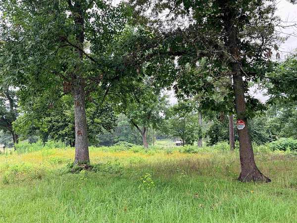 10 Acres of Mixed-Use Land for Sale in Woodville, Texas