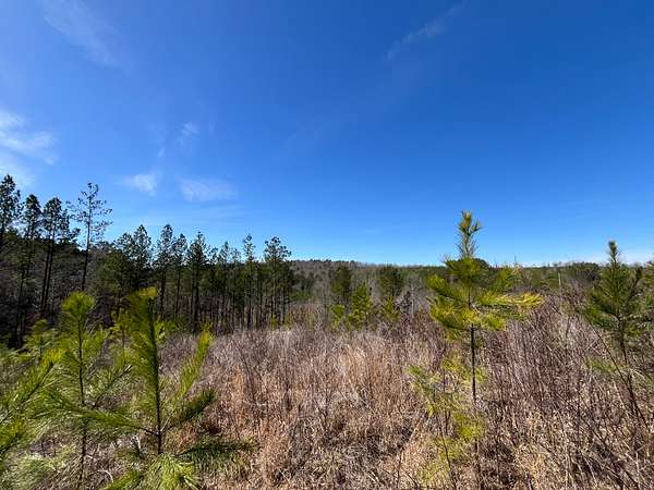 11.5 Acres of Recreational & Residential Land for Sale in Decatur, Tennessee