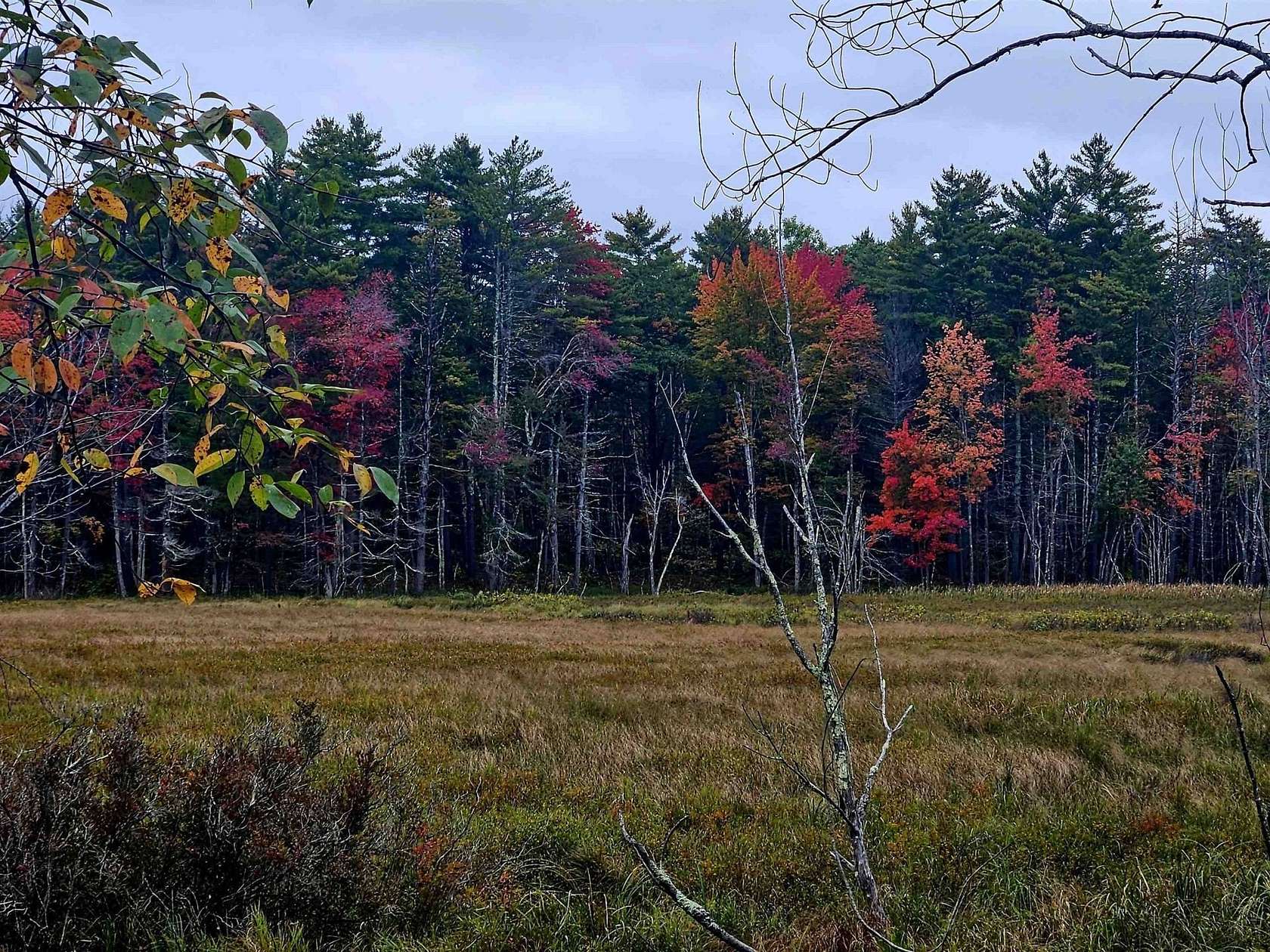5.4 Acres of Residential Land for Sale in New Durham, New Hampshire