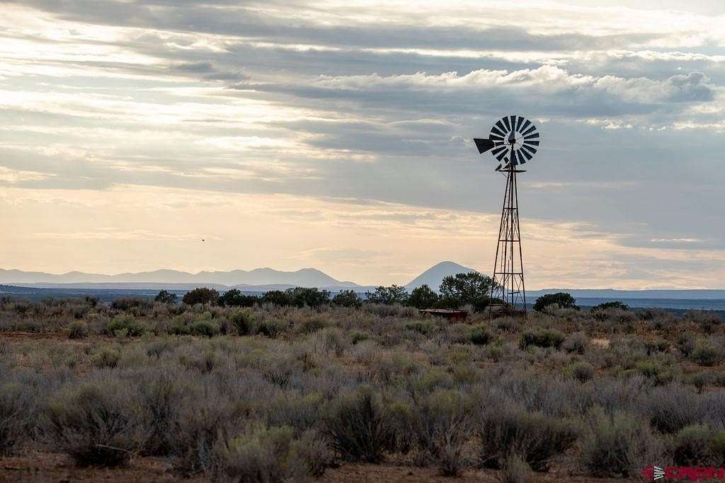 80 Acres of Land for Sale in Hesperus, Colorado