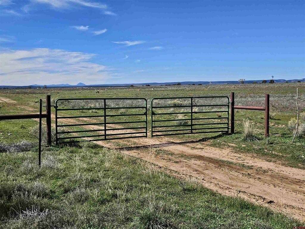 80 Acres of Land for Sale in Hesperus, Colorado