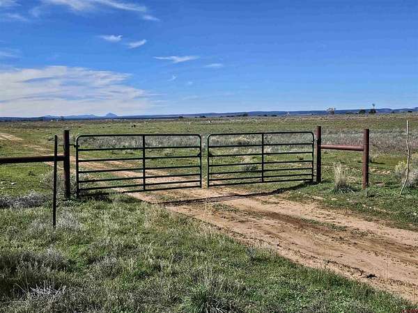 80 Acres of Land for Sale in Hesperus, Colorado