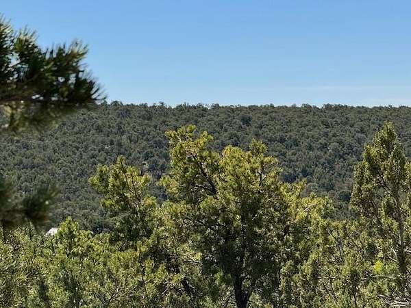 1.36 Acres of Land for Sale in Tijeras, New Mexico