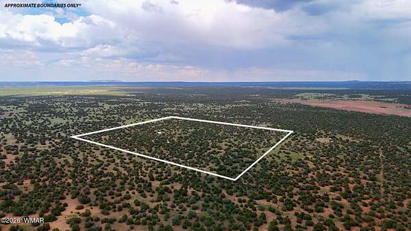 39 Acres of Recreational & Residential Land for Sale in Show Low, Arizona