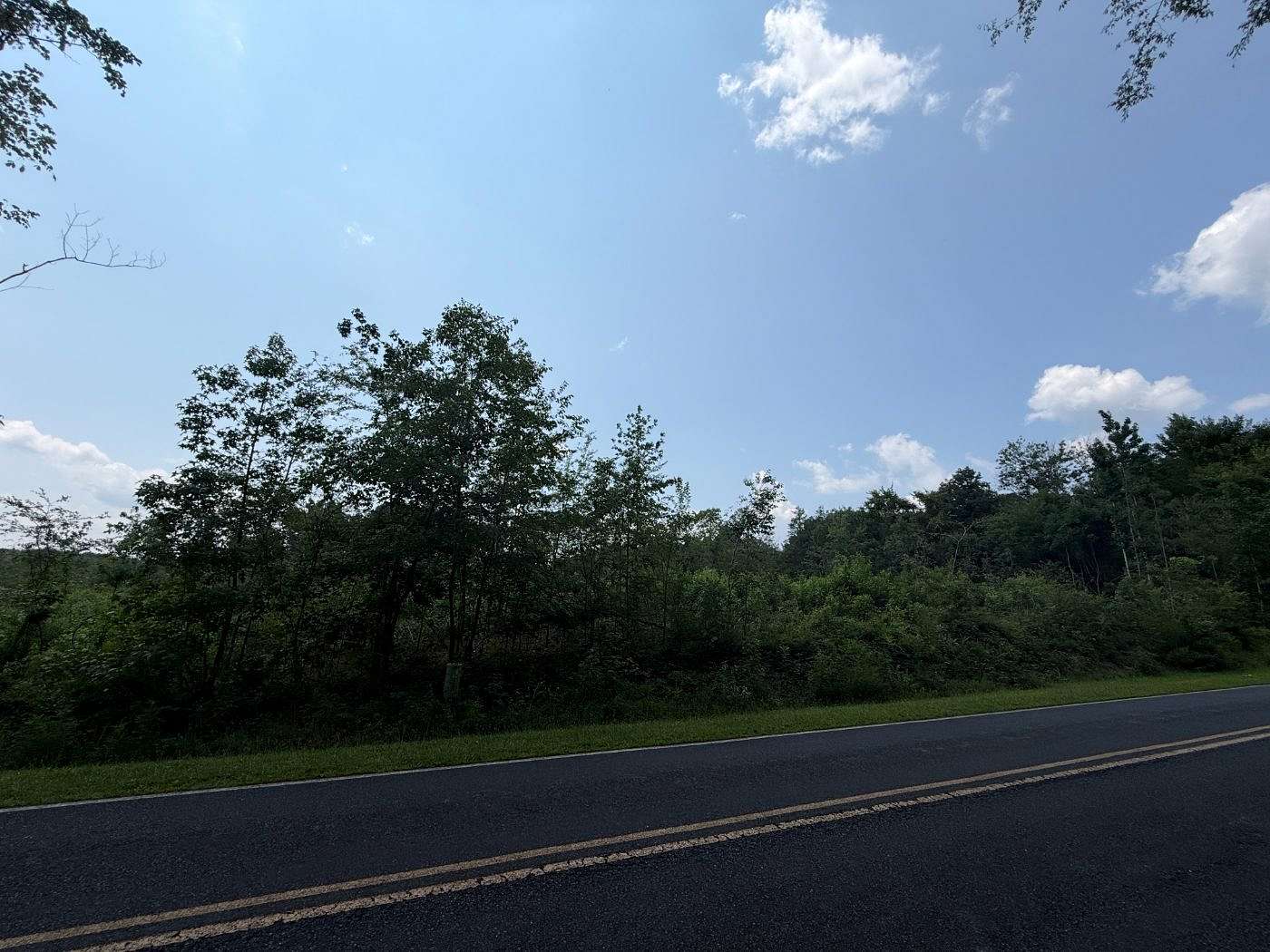 49.2 Acres of Recreational Land for Sale in Mount Pleasant, North Carolina