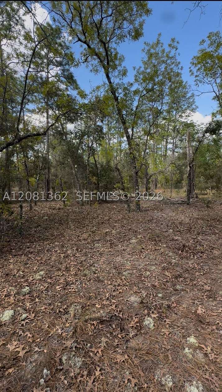 1 Acre of Residential Land for Sale in Ocala, Florida