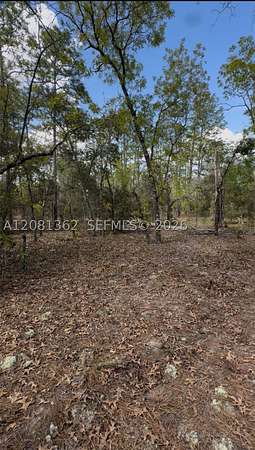 1 Acre of Residential Land for Sale in Ocala, Florida