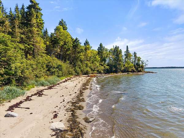 16.6 Acres of Land for Sale in Cutler, Maine