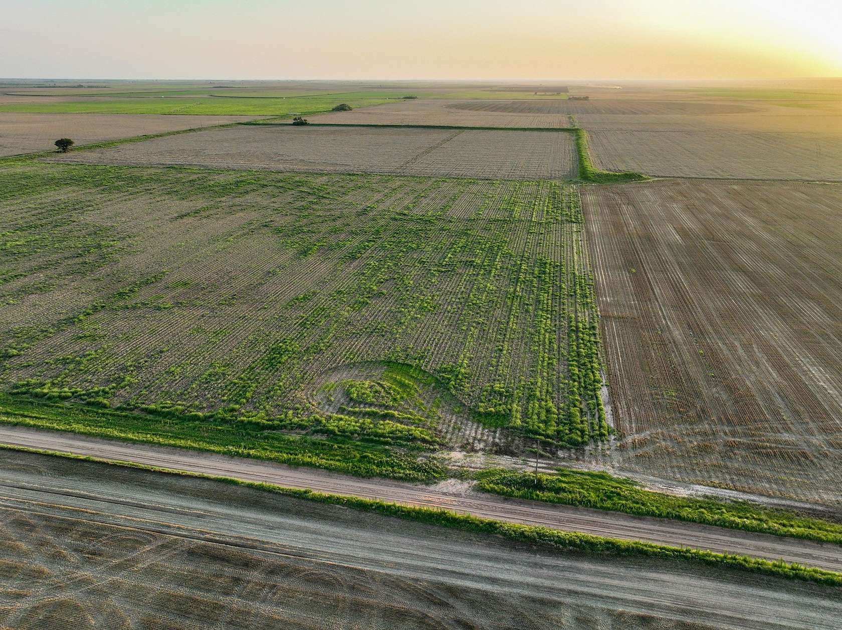 125 Acres of Agricultural Land for Sale in Weinert, Texas