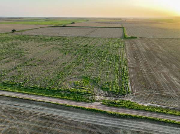 125 Acres of Agricultural Land for Sale in Weinert, Texas