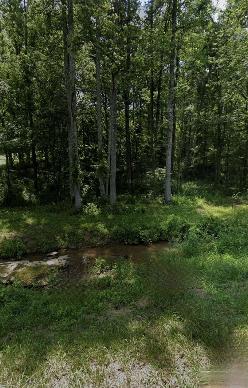 19 Acres of Recreational & Residential Land for Sale in Wellington, Kentucky